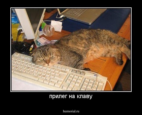 прилег на клаву