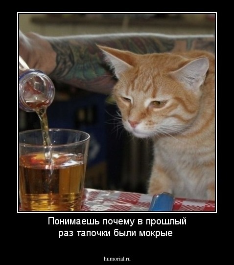 Понимаешь почему в прошлый раз тапочки были мокрые