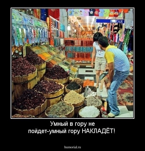 Умный в гору не пойдет-умный гору НАКЛАДЁТ!