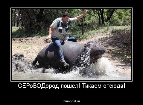 СЕРоВОДород пошёл! Тикаем отсюда!