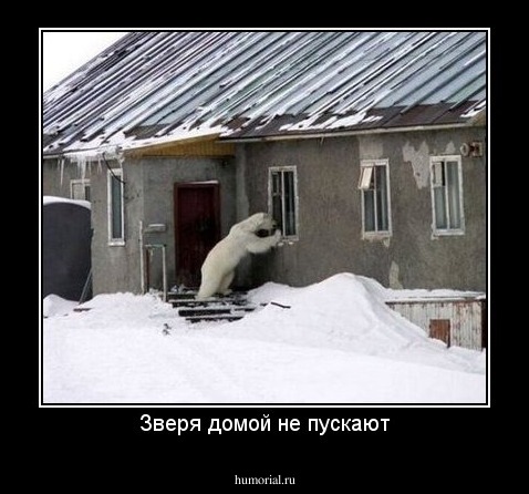 Зверя домой не пускают