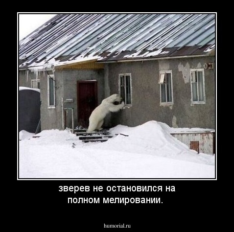 зверев не остановился на полном мелировании. 