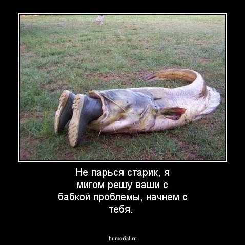 Не парься старик, я мигом решу ваши с бабкой проблемы, начнем с тебя.