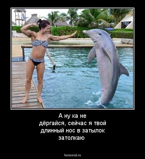 А ну ка не дёргайся, сейчас я твой длинный нос в затылок затолкаю