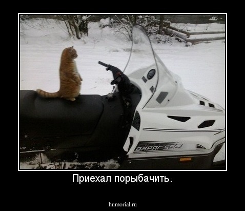 Приехал порыбачить.