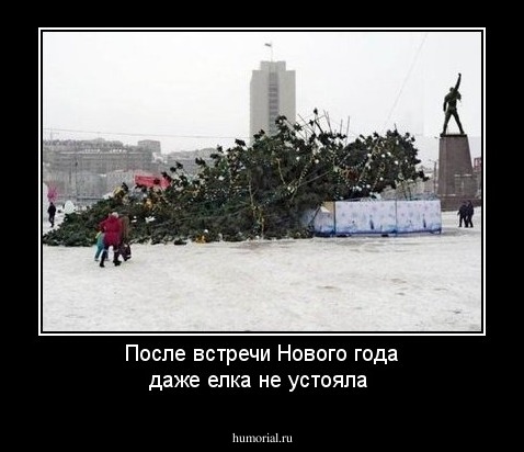 После встречи Нового года даже елка не устояла 