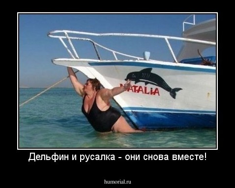 Дельфин и русалка - они снова вместе!