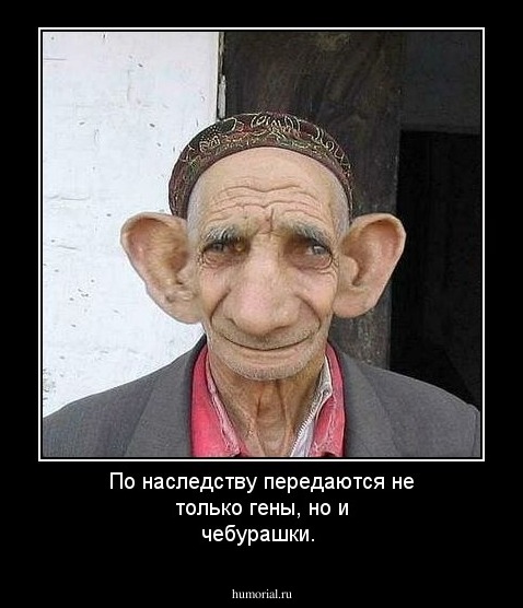 По наследству передаются не только гены, но и чебурашки.