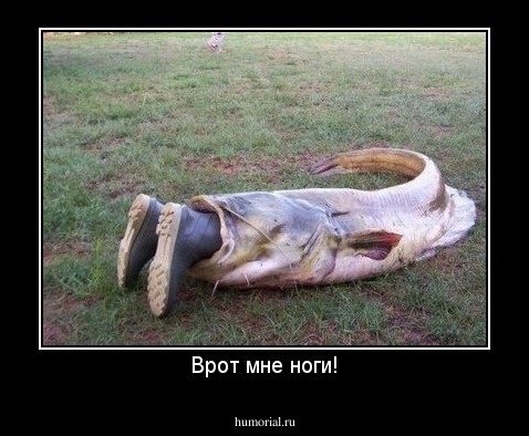 Врот мне ноги!