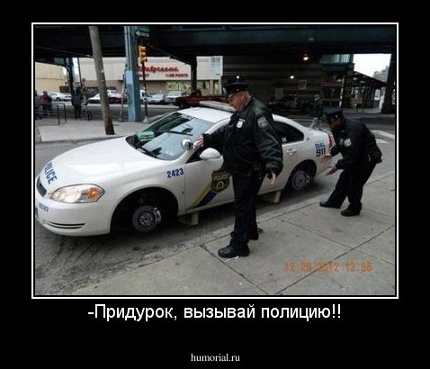 -Придурок, вызывай полицию!!
