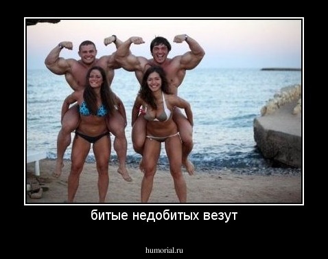 битые недобитых везут