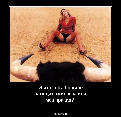 И что тебя больше заводит, моя поза или мой прикид?