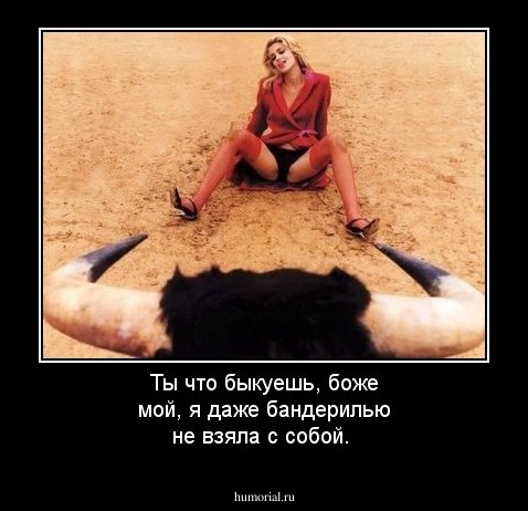 Ты что быкуешь, боже мой, я даже бандерилью не взяла с собой.