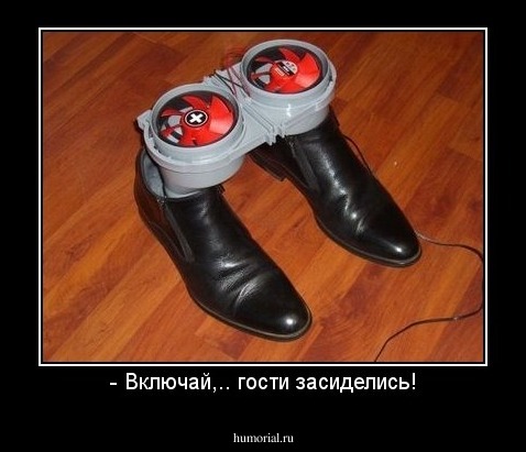 - Включай,.. гости засиделись!