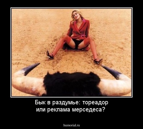Бык в раздумье: тореадор или реклама мерседеса?