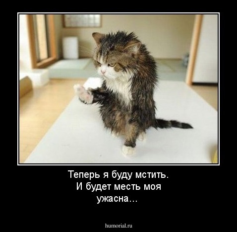 Теперь я буду мстить. И будет месть моя ужасна...