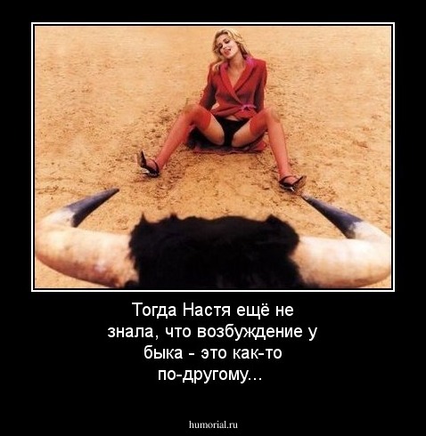 Тогда Настя ещё не знала, что возбуждение у быка - это как-то по-другому...