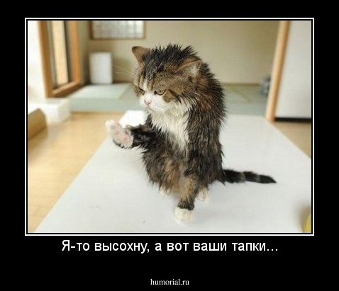 Я-то высохну, а вот ваши тапки...