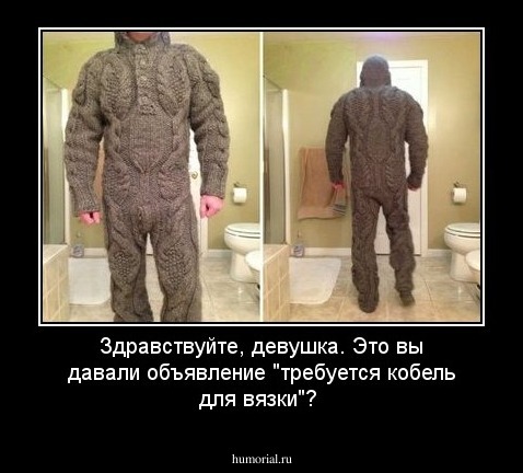 Здравствуйте, девушка.  Это вы давали объявление "требуется кобель для вязки"? 