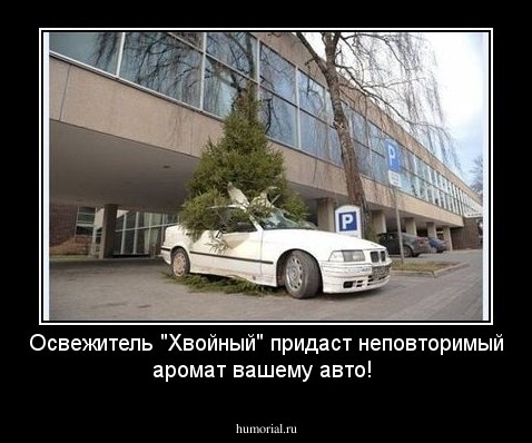 Освежитель "Хвойный" придаст
неповторимый аромат вашему авто!