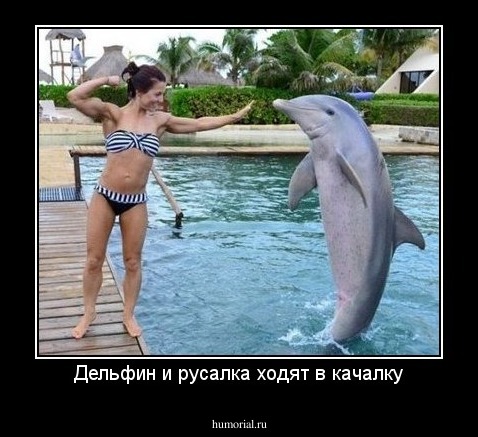 Дельфин и русалка ходят в качалку