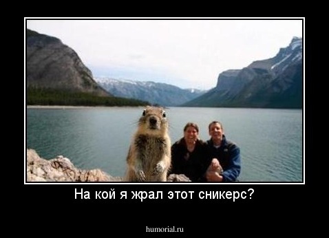 На кой я жрал этот сникерс?