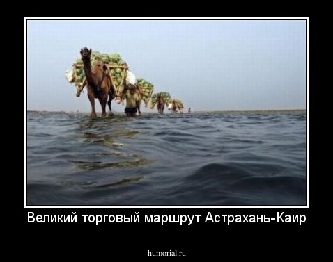 Великий торговый маршрут Астрахань-Каир