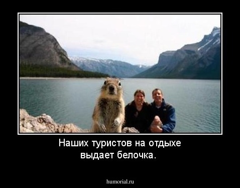 Наших туристов на отдыхе выдает белочка. 