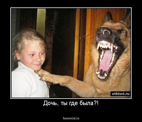 Дочь, ты где была?!