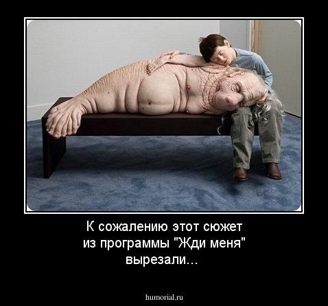 К сожалению этот сюжет из программы "Жди меня" вырезали...