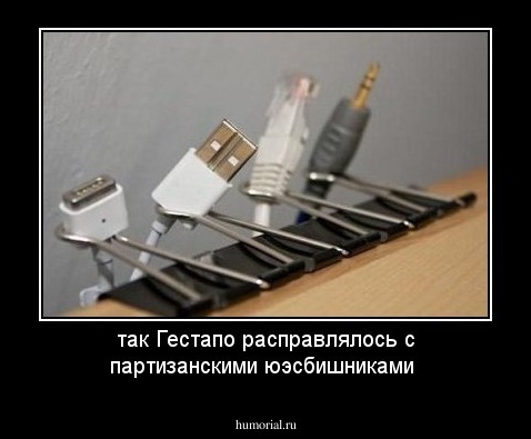 так Гестапо расправлялось с партизанскими юэсбишниками