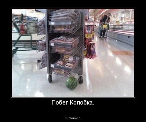 Побег Колобка.