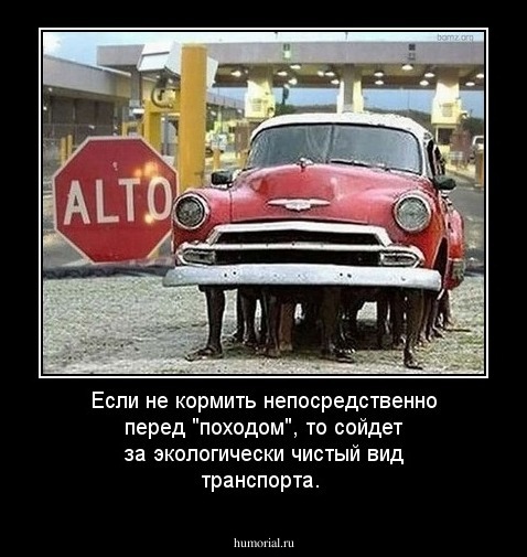 Если не кормить непосредственно перед "походом", то сойдет за экологически чистый вид транспорта.