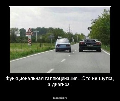 Функциональная галлюцинация...Это не шутка, а диагноз.