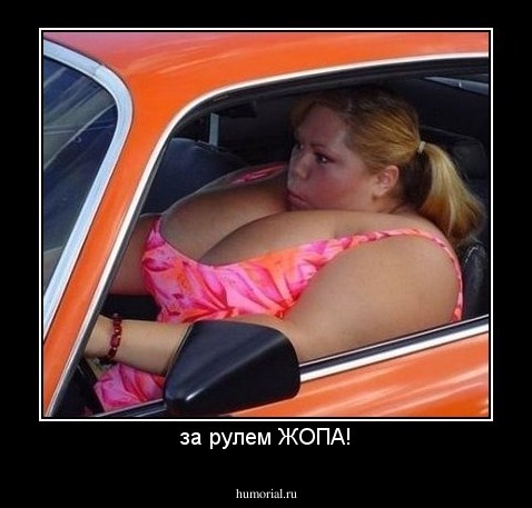 за рулем ЖОПА!