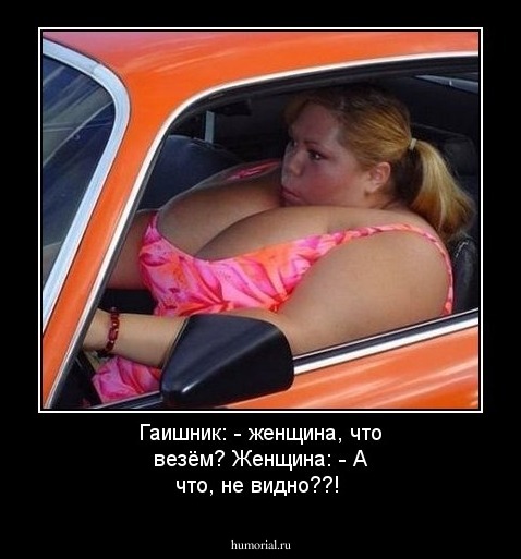 Гаишник: - женщина, что везём? Женщина: - А что, не видно??!