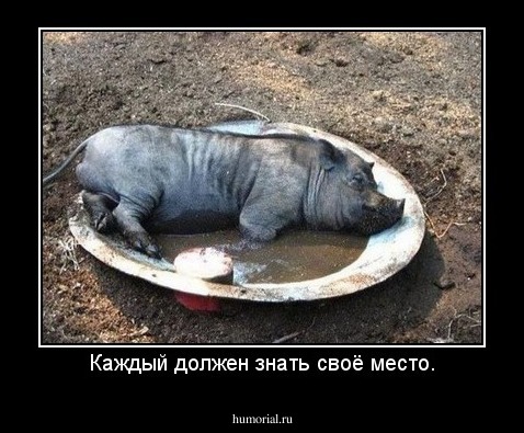 Каждый должен знать своё место.