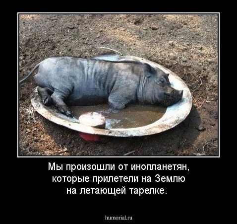 Мы произошли от инопланетян, которые прилетели на Землю на летающей тарелке.