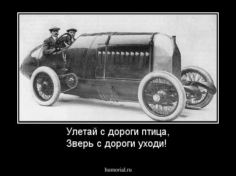 Улетай с дороги птица, Зверь с дороги уходи!
