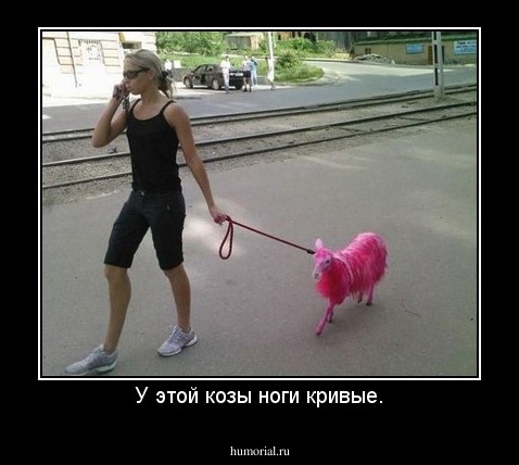У этой козы ноги кривые.