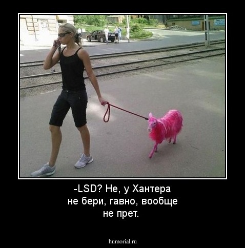 -LSD? Не, у Хантера не бери, гавно, вообще не прет.