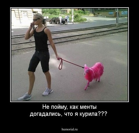 Не пойму, как менты догадались, что я курила???