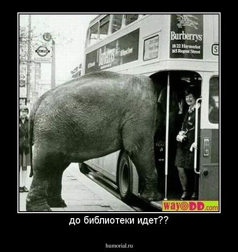 до библиотеки идет??