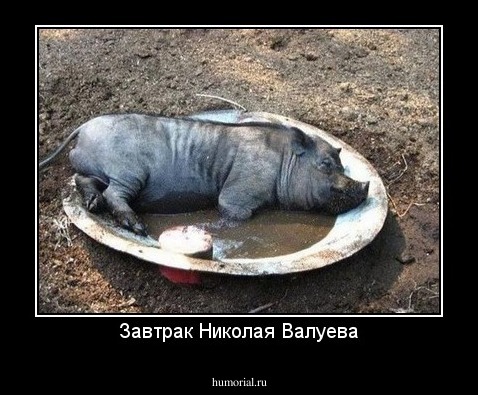 Завтрак Николая Валуева