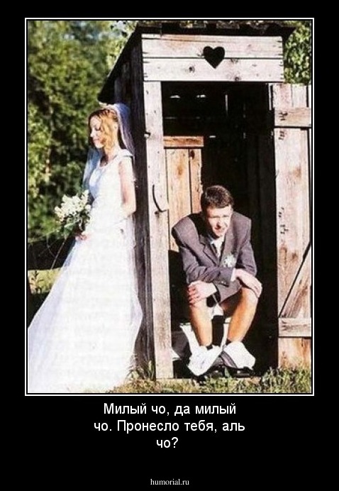 Милый чо, да милый чо. Пронесло тебя, аль чо?