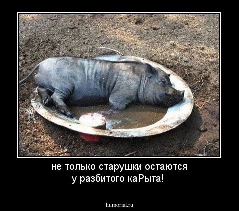 не только старушки остаются у разбитого каРыта!