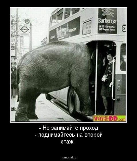 - Не занимайте проход - поднимайтесь на второй этаж!