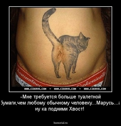 -Мне требуется больше туалетной бумаги,чем любому  обычному человеку...Марусь...а ну ка подними Хвост!