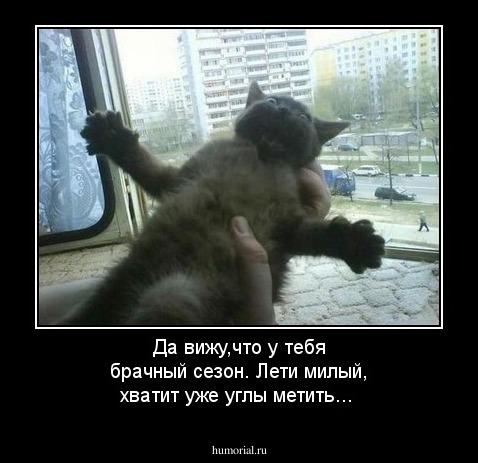 Да вижу,что у тебя брачный сезон. Лети милый, хватит уже углы метить...