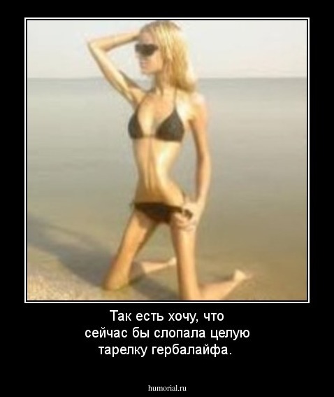Так есть хочу, что сейчас бы слопала целую тарелку гербалайфа.